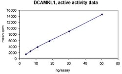 Eurofins DiscoverX DCAMKL1 Protein, Active 10 &mu;g | Buy Online | Eurofins DiscoverX | Fisher Scientific